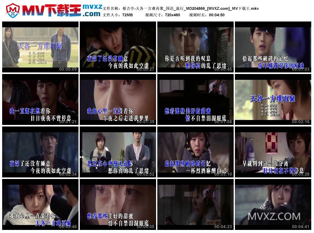 蔡吉亭-天各一方难再聚_国语_流行_MD204866